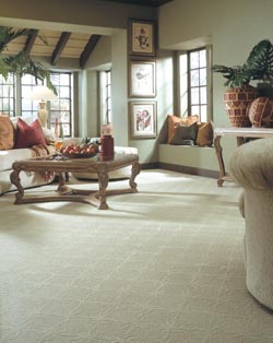 Carpet Stores In Bradenton Fl Free Estimates