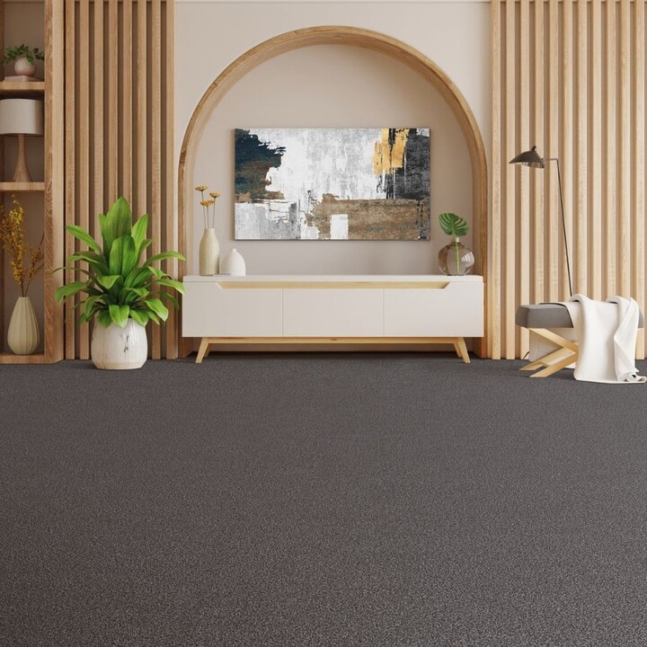 Carpet in a hallway